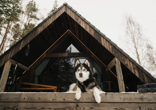 4. Kęstučio namelis