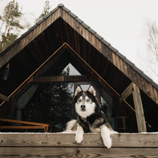 4. Kęstučio namelis