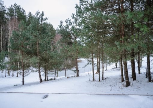 4. Kęstučio namelis