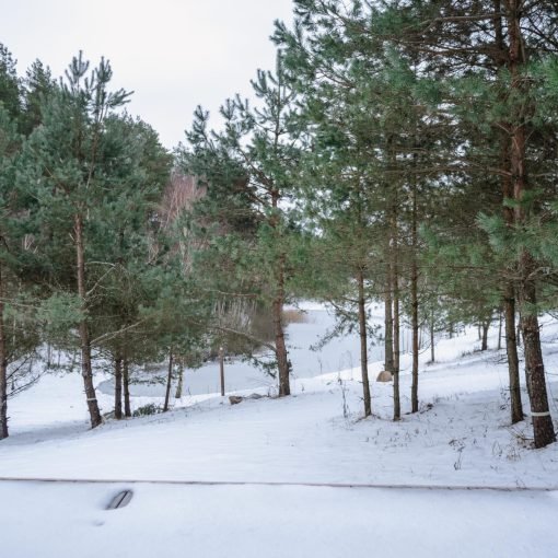 4. Kęstučio namelis