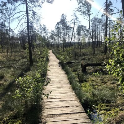 Poilsio namelis dviems prie ežero, kitoks laisvalaikis gamtoje